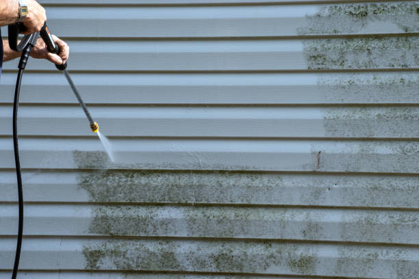 Best Construction Debris Removal  in Brilliant, AL